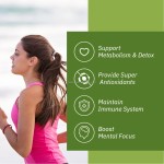 Matcha Gummies Factory - OEM Green Tea Weight Control Fat