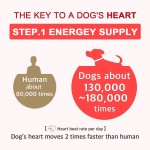 Cardiovascular Chews Factory - OEM Heart Health Grain Free Dog