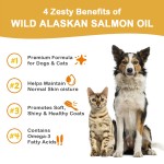 Omega 3 Fish Oil Softgels Manufacturer - OEM Salmon Oil Pet Skin Coat