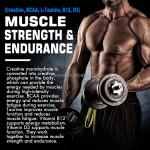 Pre Workout Gummies Supplier - OEM Creatine Monohydrate Muscle Growth