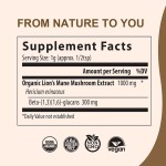 Lion's Mane Powder Manufacturer - OEM Mushroom Extract Brain Power