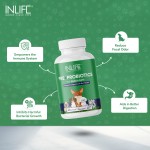 Digestive Support for Pets - Probiotic Prebiotic Capsules Supplier