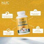 Curcumin Supplement for Pets - OEM Custom Herbal Capsules Factory