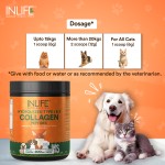 Hydrolyzed Collagen Powder - Private Label Pet Supplement Manufacturer