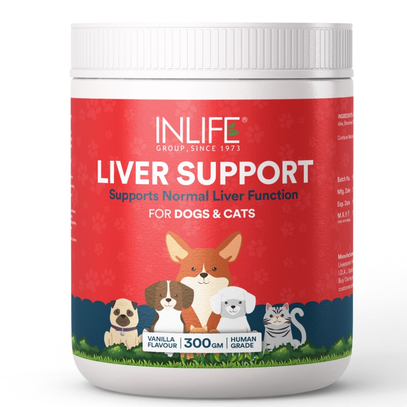 Liver Support Supplement - OEM Vanilla Flavor Powder Manufacturer