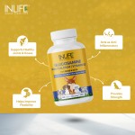 Glucosamine Tablets for Pets - OEM Joint Support Supplement Supplier