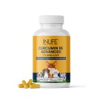 Curcumin Supplement for Pets - OEM Custom Herbal Capsules Factory