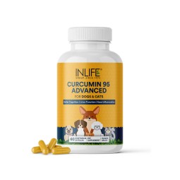 Curcumin Supplement for Pets - OEM Custom Herbal Capsules Factory