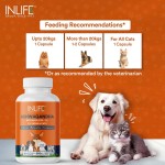 Ashwagandha Capsules for Pets - Custom 500mg Supplement Supplier