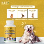Glucosamine Tablets for Pets - OEM Joint Support Supplement Supplier