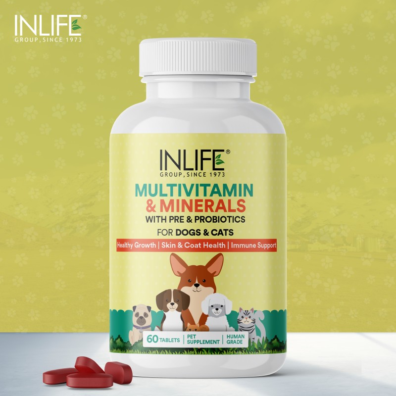 Multivitamin Supplement for Dogs - OEM Health Care Tablets Supplier