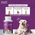 Digestive Enzymes for Pets - Custom Supplement Capsules Manufacturer
