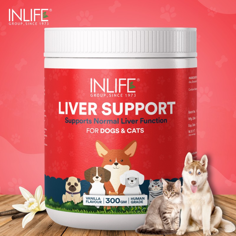 Liver Support Powder for Pets - Custom Detox Supplement Factory