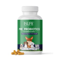 Pet Probiotic Supplement - Effective Digestive Support Manufacturer