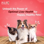 Liver Support Powder Vanilla - Private Label Pet Supplement Manufacturer