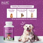 Milk Thistle Capsules for Pets - OEM Immune Support Supplement Factory