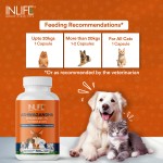 Ashwagandha Capsules for Pets - Custom Relaxation Supplement Factory
