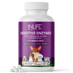 Digestive Enzymes for Pets - Custom Supplement Capsules Manufacturer