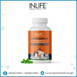 Ashwagandha Capsules for Pets - Custom Relaxation Supplement Factory