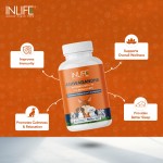 Ashwagandha Capsules for Pets - Custom Relaxation Supplement Factory