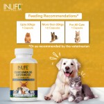 Curcumin Supplement for Pets - OEM Custom Herbal Capsules Factory