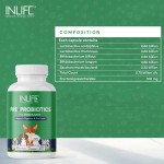 Probiotic Supplement for Pets - Digestive Health Capsules Factory