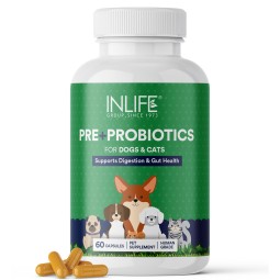 Probiotics for Pets - Digestive Health Supplement Manufacturer