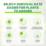 Organic Slow-Release Flower Fertilizer Factory - NPK Compost with Seaweed