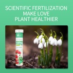 Home Gardening Tablets Manufacturer - Plant Slow-Release Nutrition OEM