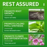 Plant Slow-Release Fertilizer Stick Supplier - Household Potted Plant Custom