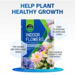 Multi-Trace Element Fertilizer Factory - Organic Slow-Release Universal