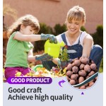 Hydroponic Fertilizer Manufacturer - Ceramsite Block Coconut Peat OEM