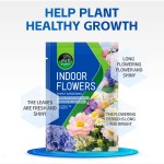 Organic NPK Fertilizer Factory - Coconut Peat Block Type Custom