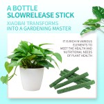 Organic Plant-Based Nutrition Bar Manufacturer - Custom Formula Private Label