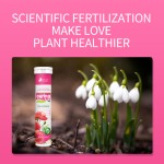 Organic Nutrient Tablets Supplier - Eco-Friendly Flower Fertilizer Bulk