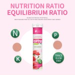 Organic Fertilizer Stick Supplier - Potted Gardening Custom Formula