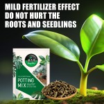 Garden Vegetable Fertilizer Factory - Organic Coconut Peat Block Custom