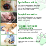 Herbal Antibiotic Drops - Anti Inflammatory Supplement