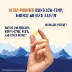 Fish Oil Omega 3 Softgels - Halal Brain Support Formula