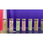 Pet Soft Chews - 8-in-1 Nutritional Supplement