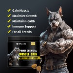 Dog Protein Chews - Muscle Gain Supplements