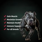 Protein Soft Chews - Weight Gain Muscle Builder