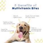 Pet Multivitamin - Probiotic Gut Health Formula
