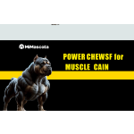 Salmon Oil Chews - Multivitamin Joint Supplement