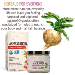 Maca Root Powder - Energy Male Function Supplement