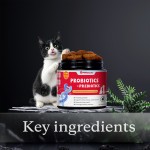 Probiotic Chews for Pets - Custom Digestive Health Supplement Factory