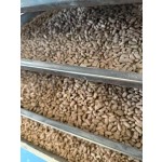 Dog Multivitamin Tablets - Immune Support Treats