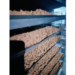 Salmon Oil Chews - Multivitamin Joint Supplement