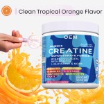 Creatine Monohydrate Powder - Instant Energy Recovery Formula