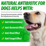 Herbal Antibiotic Drops - Anti Inflammatory Supplement